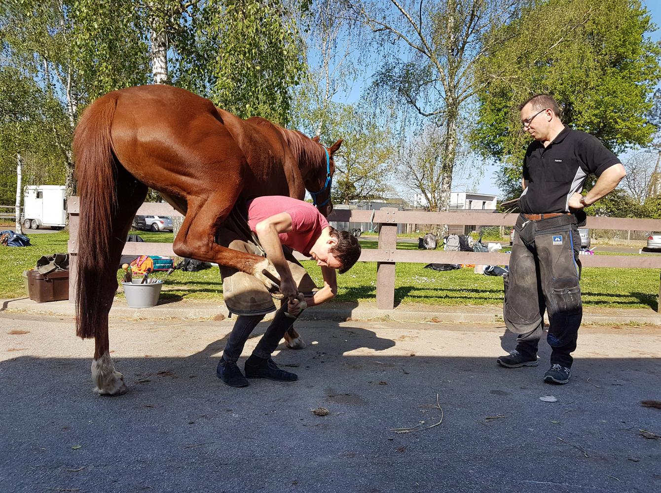 Mustad Sales Manager Fabrice Cavé giving instructions to a VET student in Nantes, France